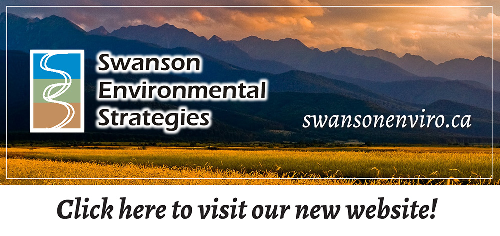 Swanson Environmental Strategies